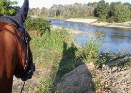 passeggiate a cavallo